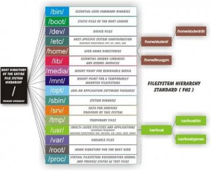 Linux-Directory-Structure